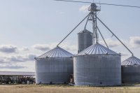 At the Origins of Welfare States: Grains and temples